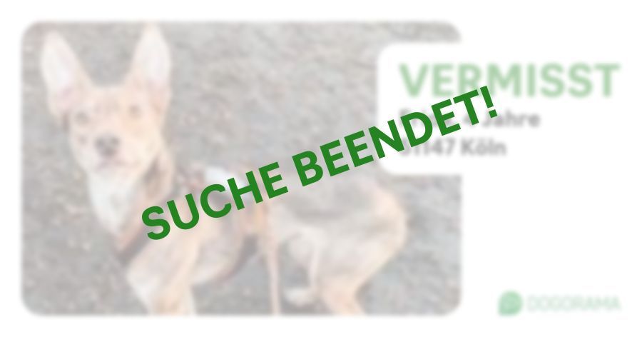 Suchmeldung-Frida-Profilbild