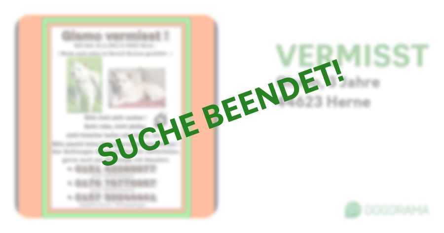 Suchmeldung-Gismo-Profilbild