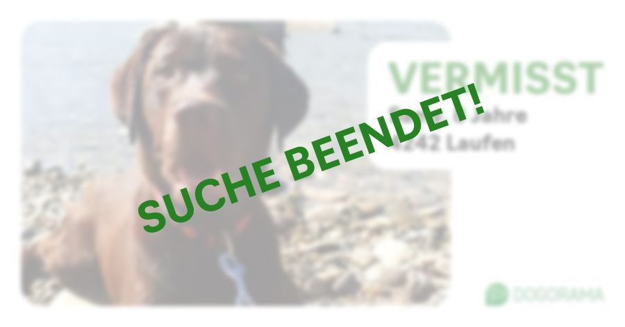 Suchmeldung-Samy-Profilbild