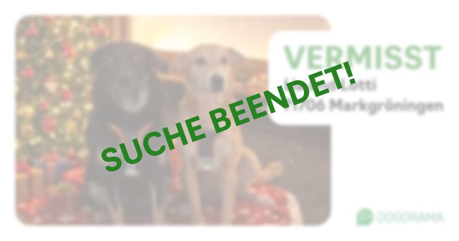 Suchmeldung-Lia und Lotti-Profilbild