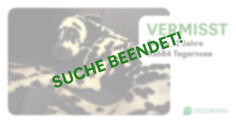 Suchmeldung-Gloria -Profilbild