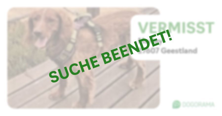 Suchmeldung-Marley-Profilbild