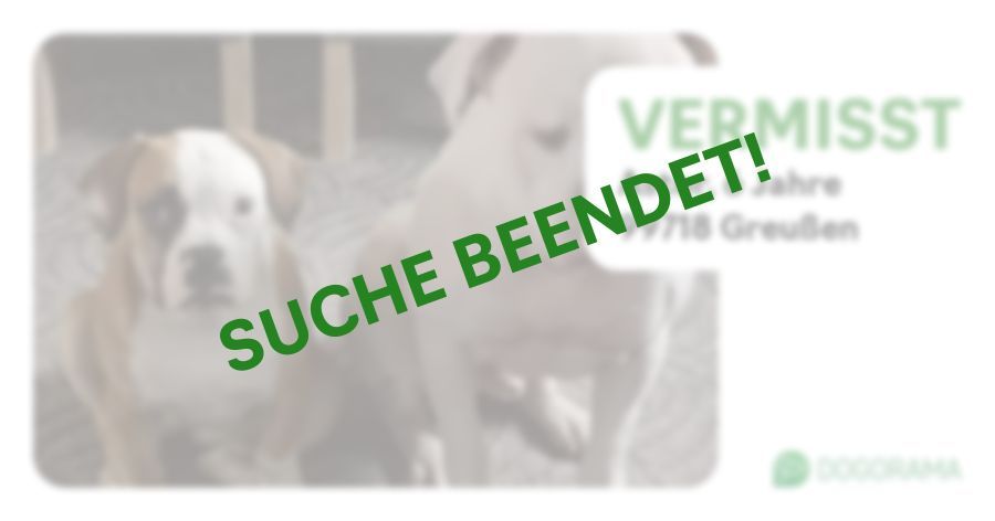 Suchmeldung-Astor-Profilbild