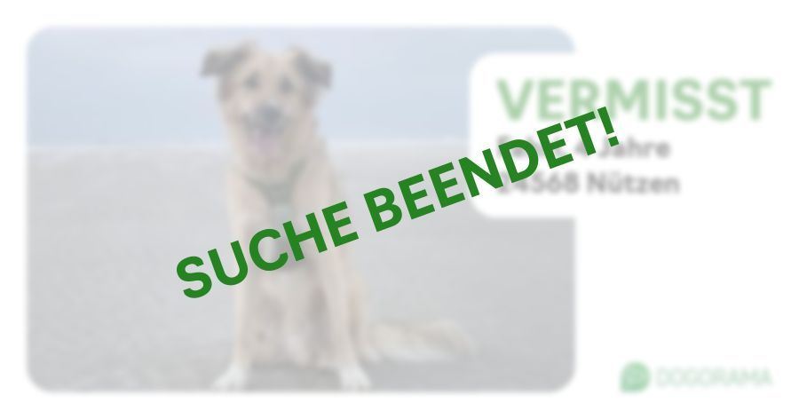 Suchmeldung-Fahri-Profilbild