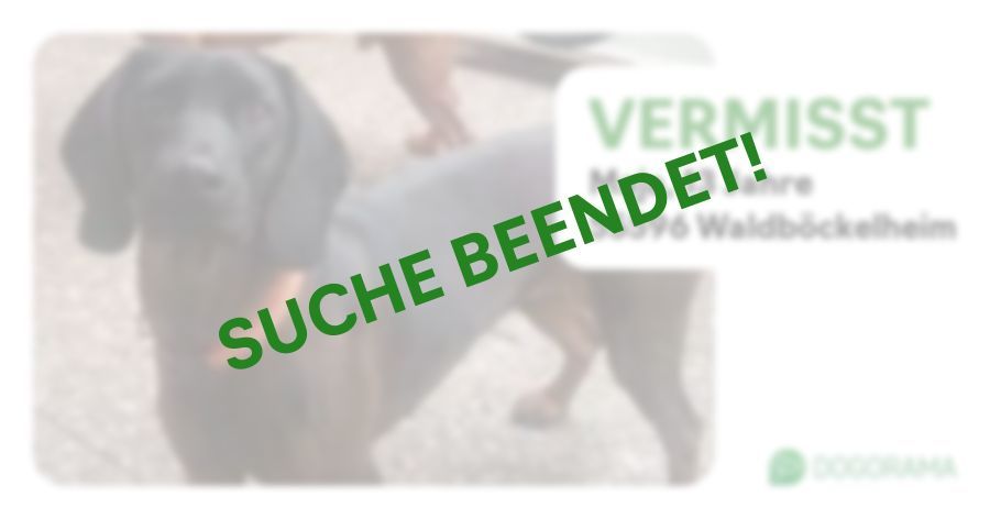 Suchmeldung-Maja-Profilbild