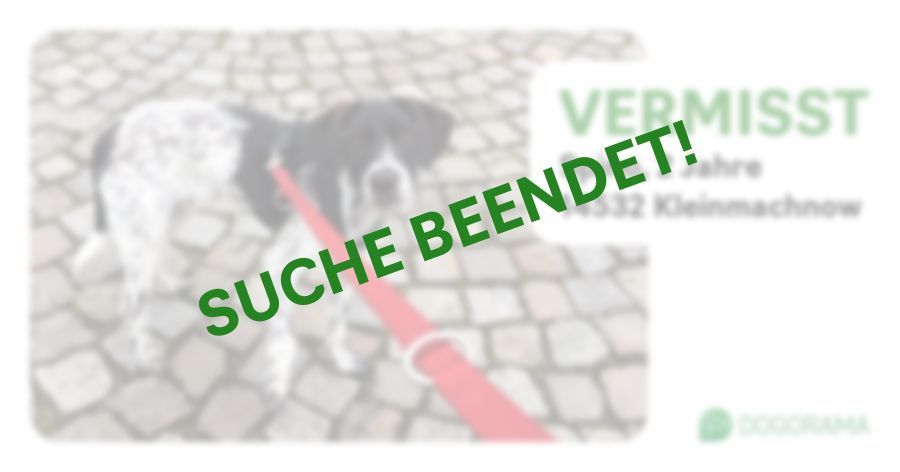 Suchmeldung-Spino-Profilbild