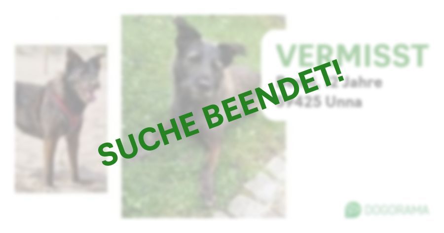 Suchmeldung-Benni-Profilbild