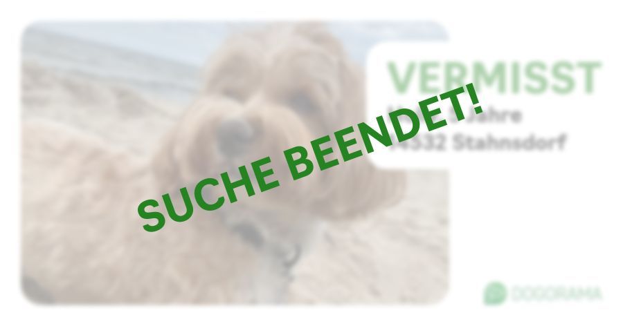 Suchmeldung-Holly-Profilbild