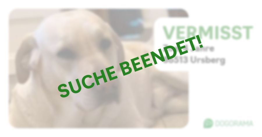 Suchmeldung-Zoe-Profilbild