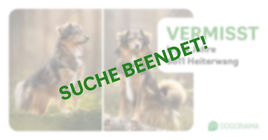 Suchmeldung-Ivy-Profilbild