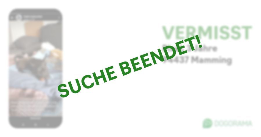 Suchmeldung-Pixel-Profilbild