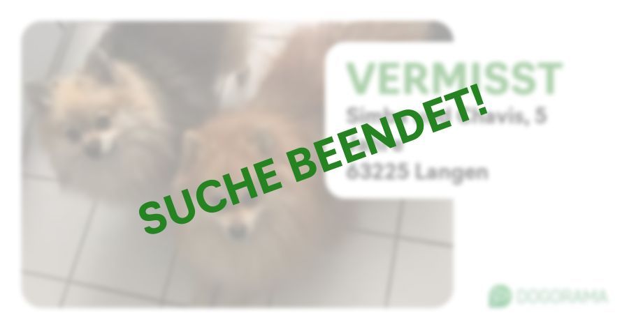 Suchmeldung-Simba und Chavis-Profilbild