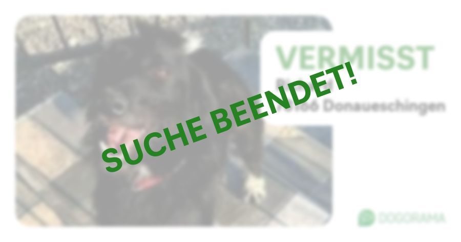 Suchmeldung-Richard-Profilbild