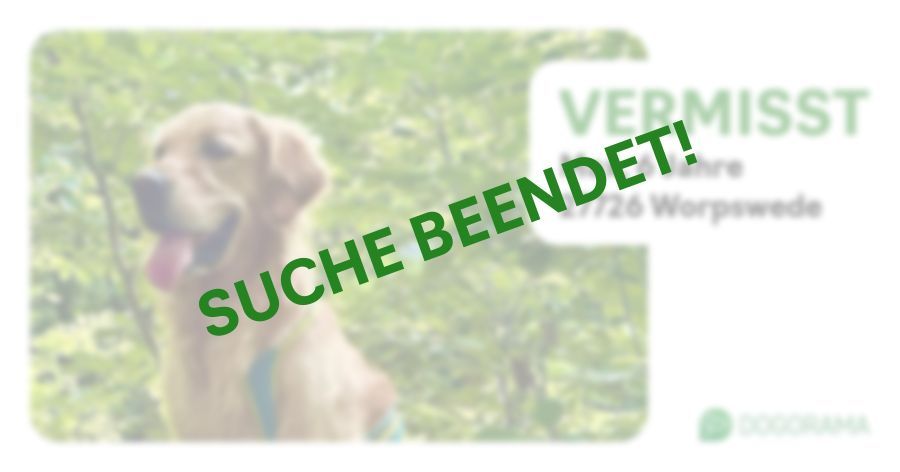 Suchmeldung-Max-Profilbild