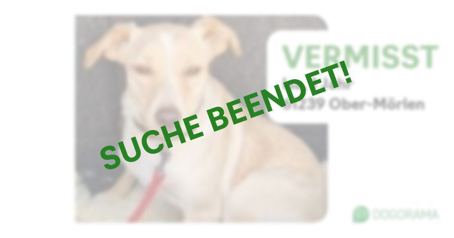 Suchmeldung-Isa-Profilbild