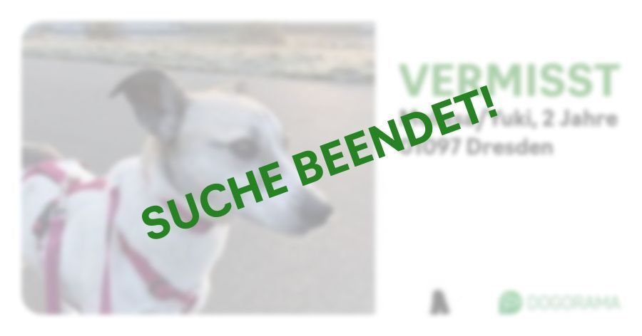 Suchmeldung-Melissa/Yuki-Profilbild