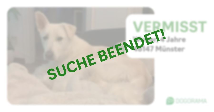 Suchmeldung-Winter-Profilbild