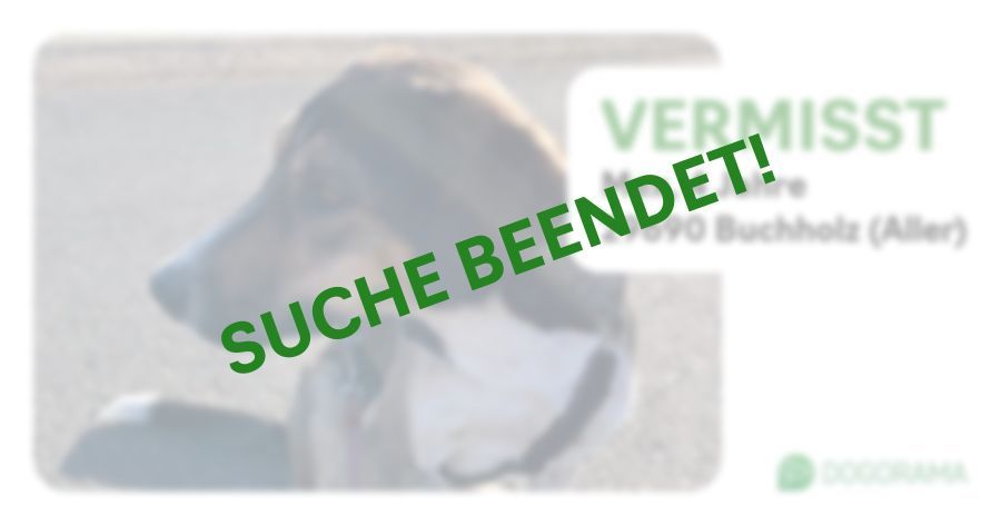 Suchmeldung-Mex-Profilbild