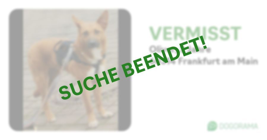 Suchmeldung-Oliver-Profilbild