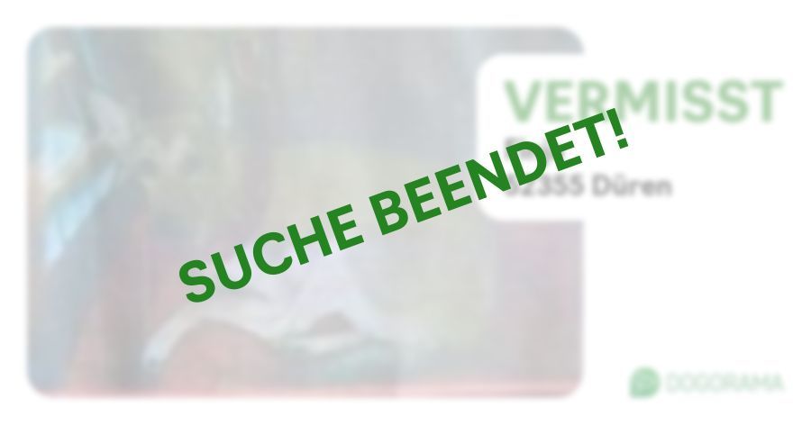 Suchmeldung-Finja-Profilbild