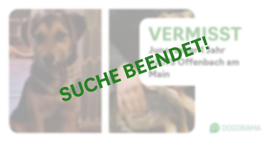 Suchmeldung-Juno-Profilbild