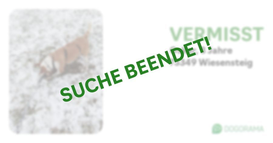 Suchmeldung-Oskar-Profilbild