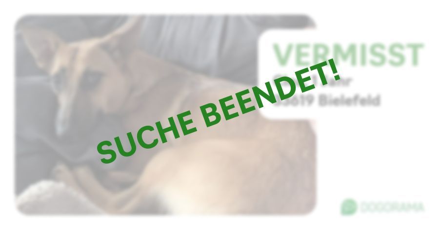 Suchmeldung-Clea-Profilbild