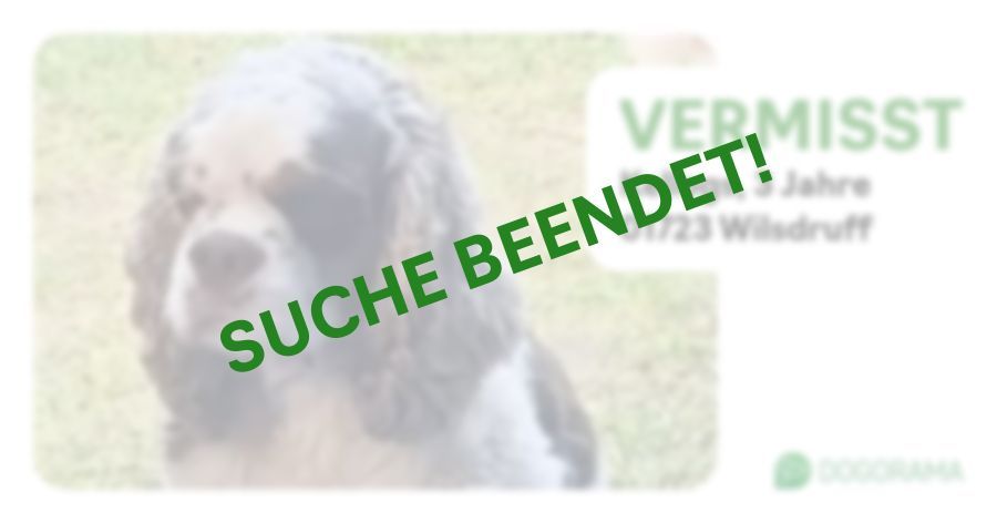 Suchmeldung-Kellogs-Profilbild