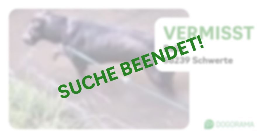 Suchmeldung-Bella-Profilbild