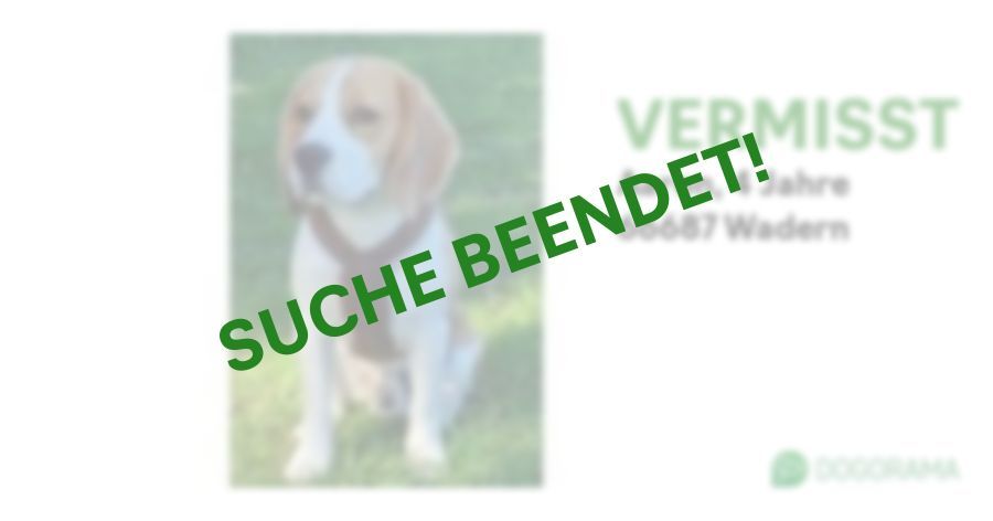 Suchmeldung-Aaron-Profilbild