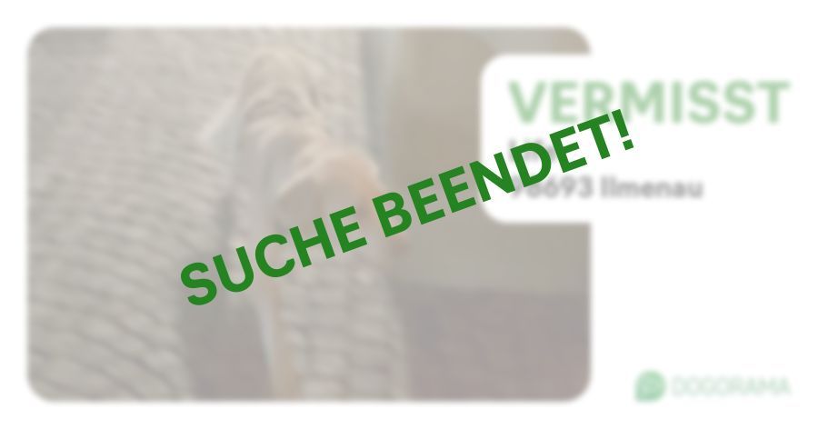 Suchmeldung-Life-Profilbild