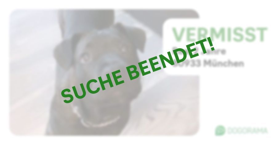 Suchmeldung-Rea-Profilbild