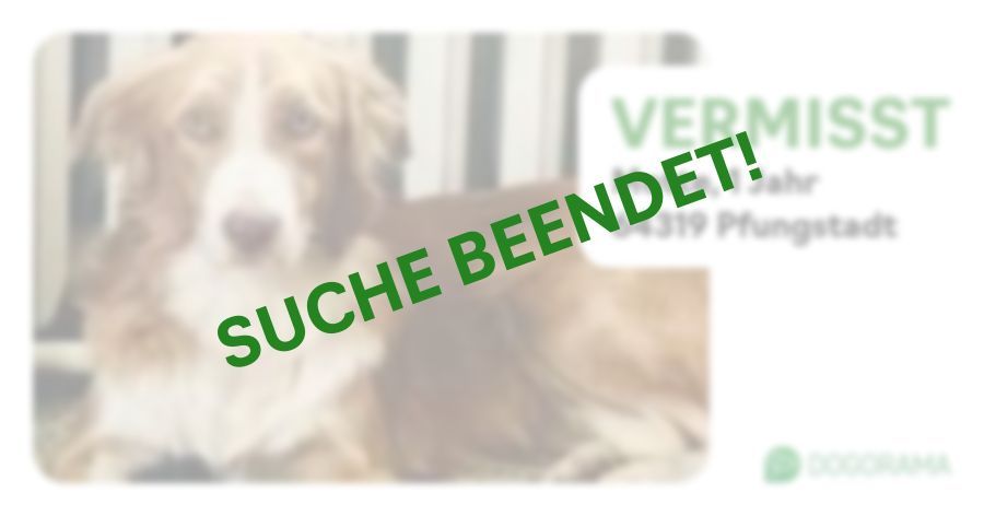 Suchmeldung-Motte-Profilbild