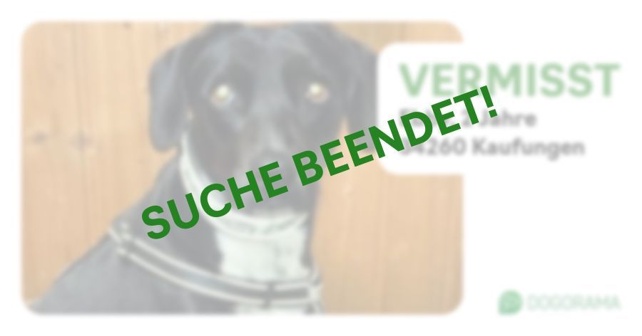 Suchmeldung-Ebby-Profilbild