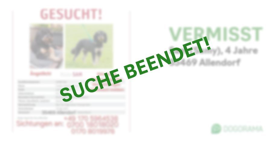 Suchmeldung-Sam (Samy)-Profilbild