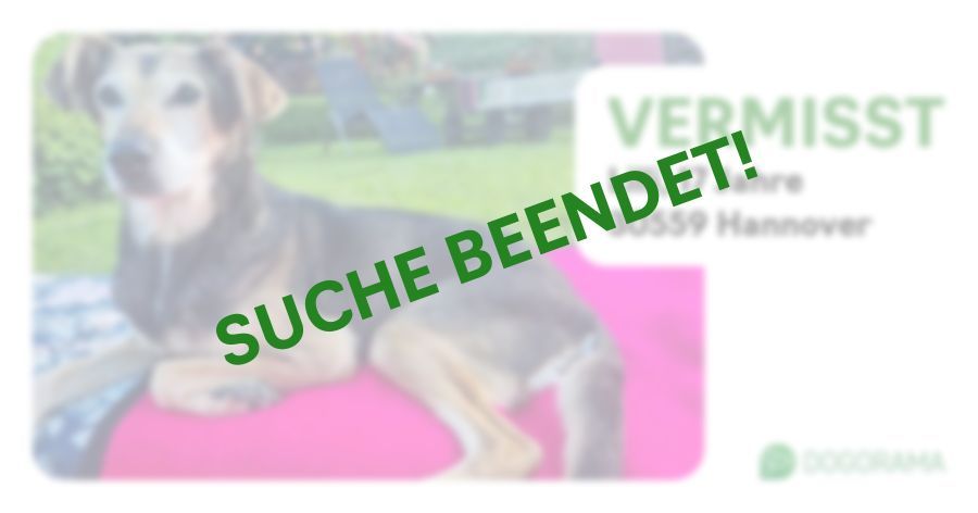 Suchmeldung-Lilli-Profilbild