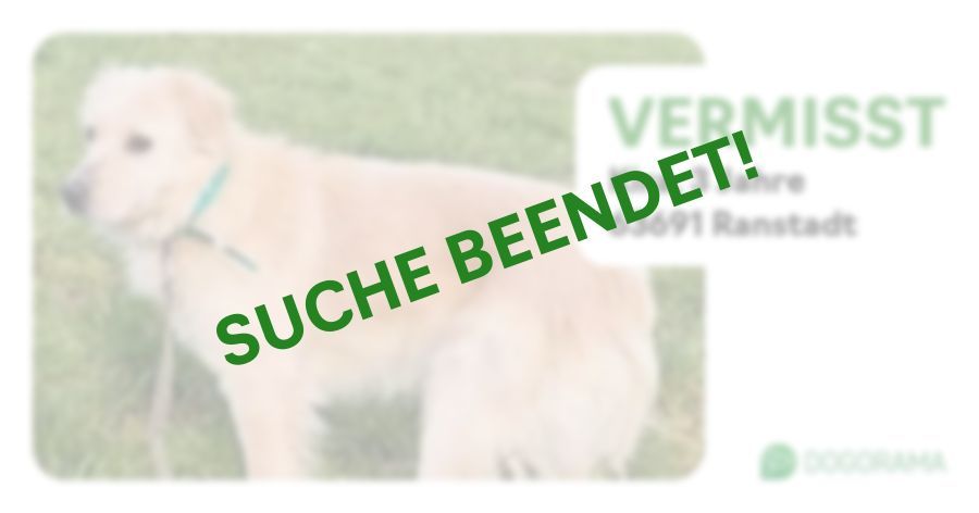 Suchmeldung-Kira-Profilbild