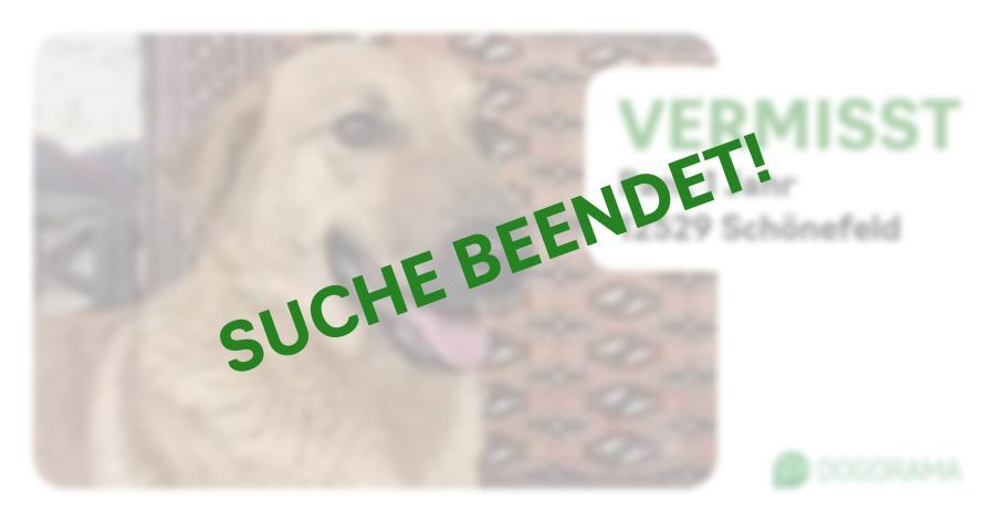 Suchmeldung-Pani-Profilbild