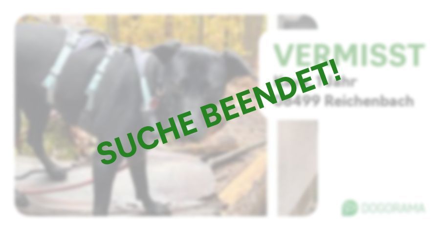 Suchmeldung-Kaya-Profilbild