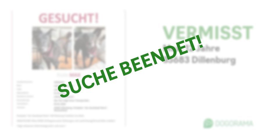 Suchmeldung-Max-Profilbild