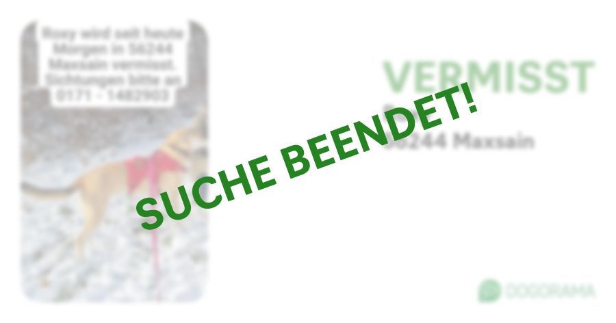 Suchmeldung-Roxy-Profilbild