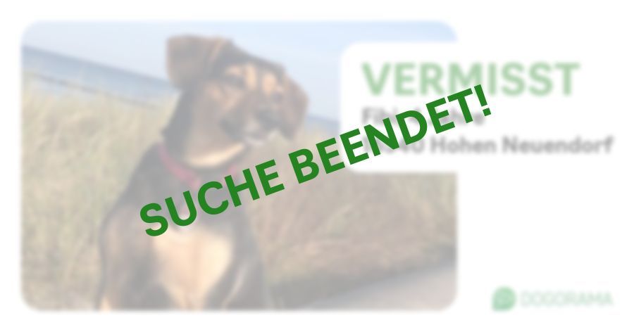 Suchmeldung-Fibi-Profilbild