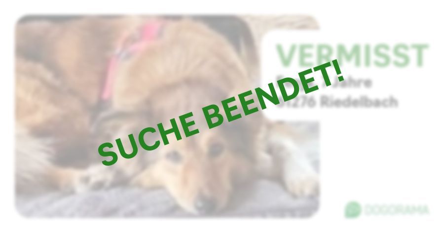 Suchmeldung-Fenja-Profilbild