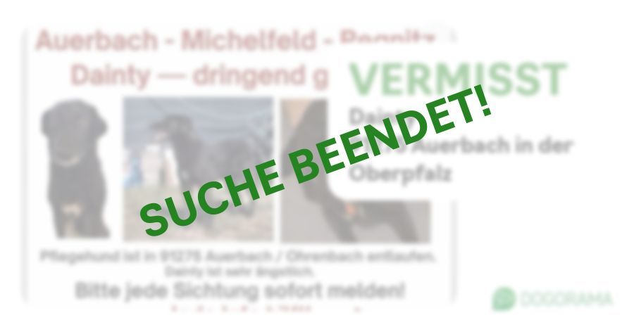 Suchmeldung-Dainty-Profilbild