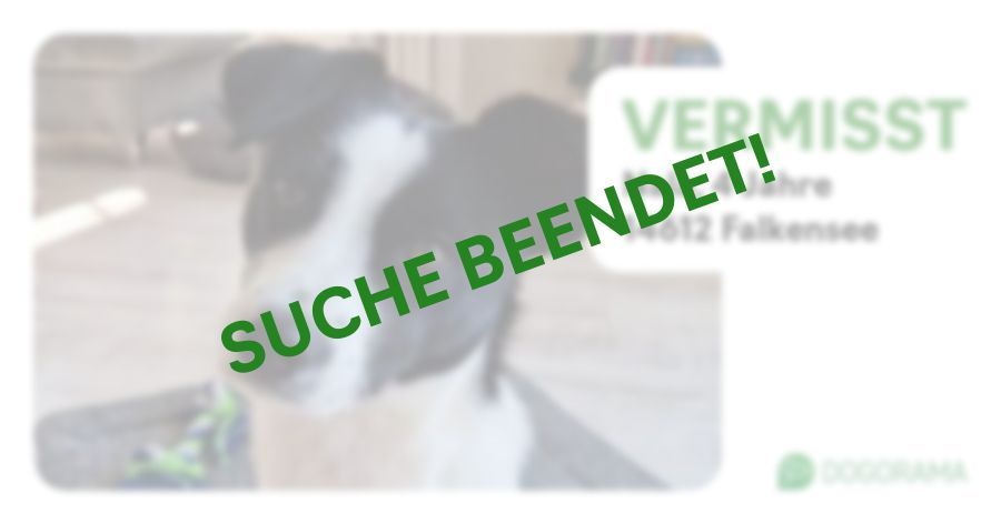 Suchmeldung-Nala-Profilbild