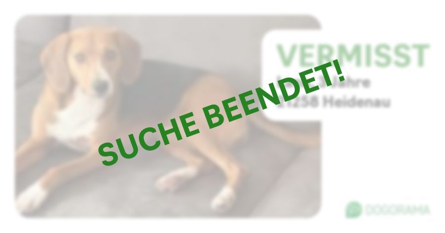 Suchmeldung-Lana-Profilbild