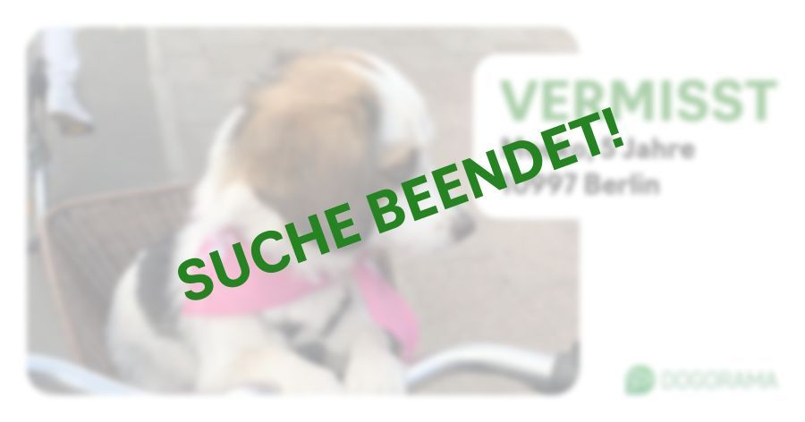 Suchmeldung-Meeko-Profilbild