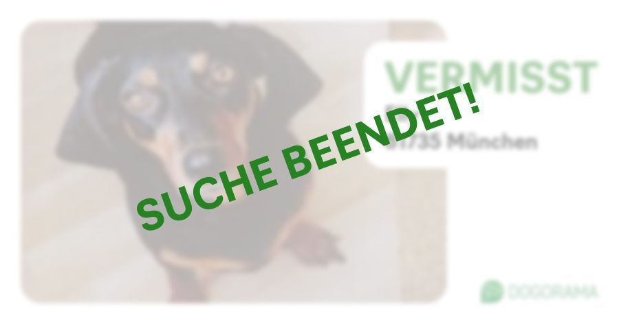 Suchmeldung-Elly-Profilbild