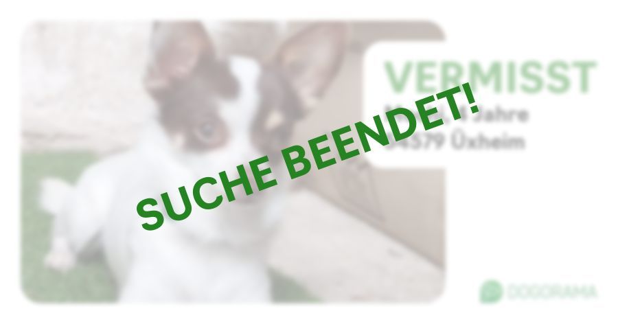 Suchmeldung-Mochi-Profilbild