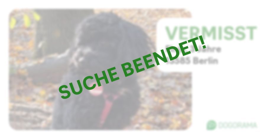 Suchmeldung-Finja-Profilbild